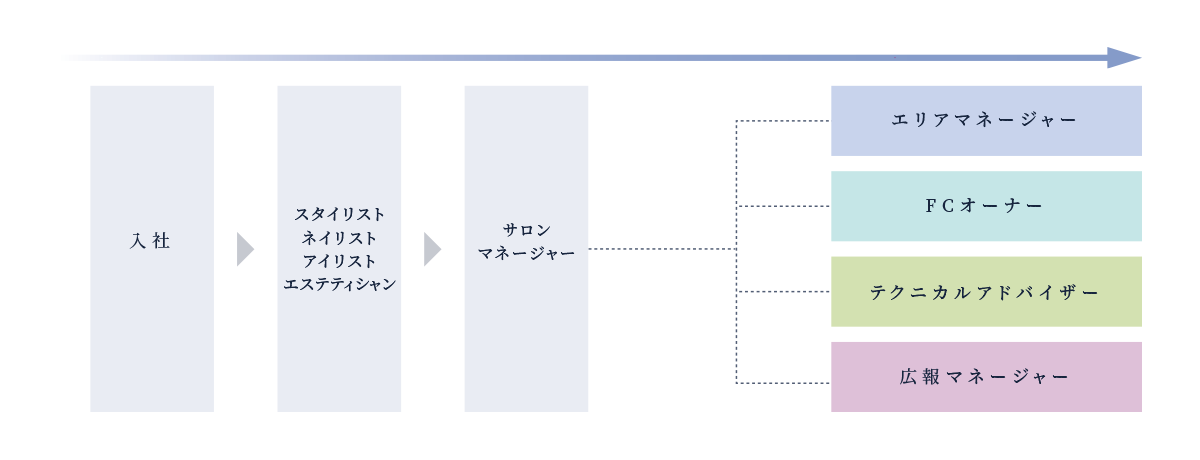 キャリアプラン ヘア